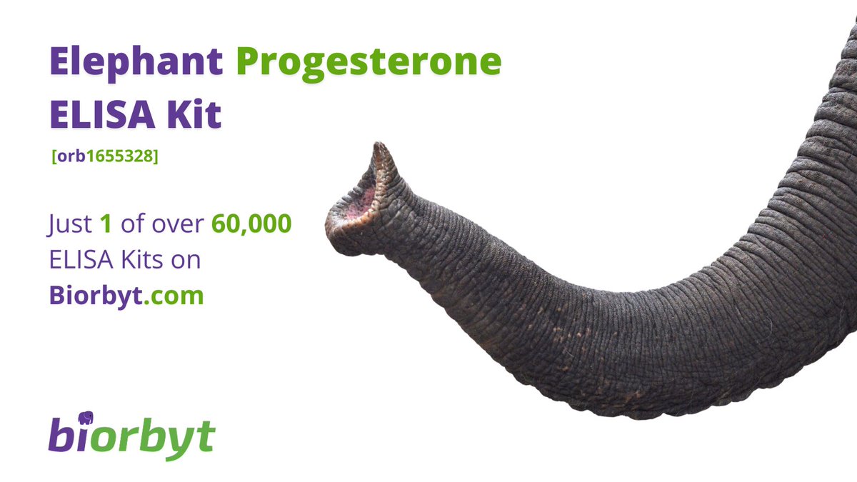 🐘🐘🐘🐘🐘

#research #bioscience #lifesciences #laboratory