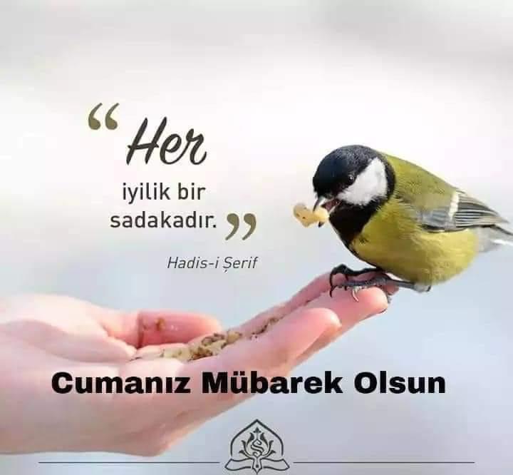 Hasan yüce (@hasanyuce04) on Twitter photo 