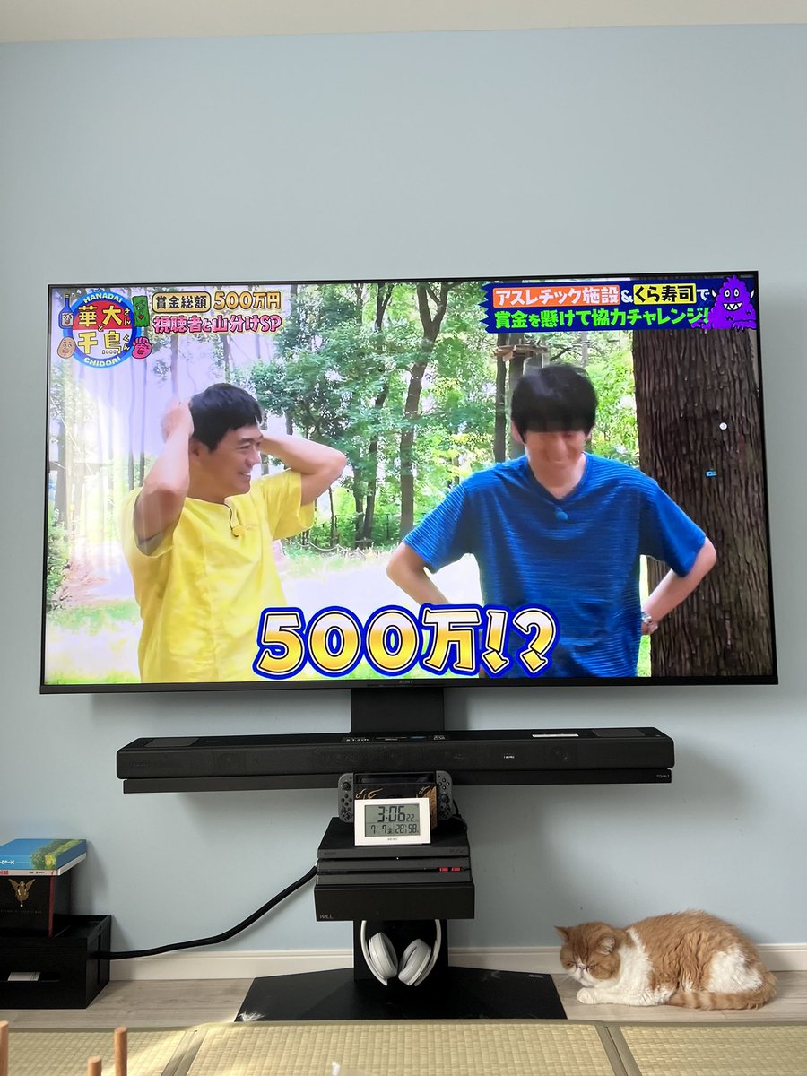 sumire_0501's tweet photo. 毎週、華大さんと千鳥くんを録画して大体1週間に5〜8回見てるんだけど
何回見ても面白すぎて今日みたいに時間ある日は2回とかみる
暑すぎてエアコンにしてるからねこもゆっくりしてるし🐈
なんかいい日☀️ https://t.co/1ZSGlimbka
