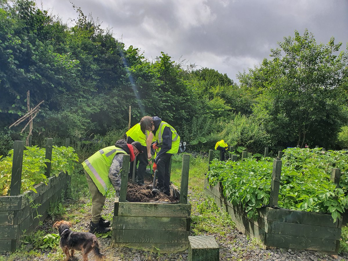North_Ayrshire's tweet photo. It's officially tattie season π₯and we would like to say a HUGE thank you π€© to @eglintongrowers for supplying local community larders with their first batch. Yum! Find out more here: https://t.co/yGx4t14lDy
#fairerfoodnetworkNA #YourNextMove #employabilitysupport https://t.co/JskhNGvmhI