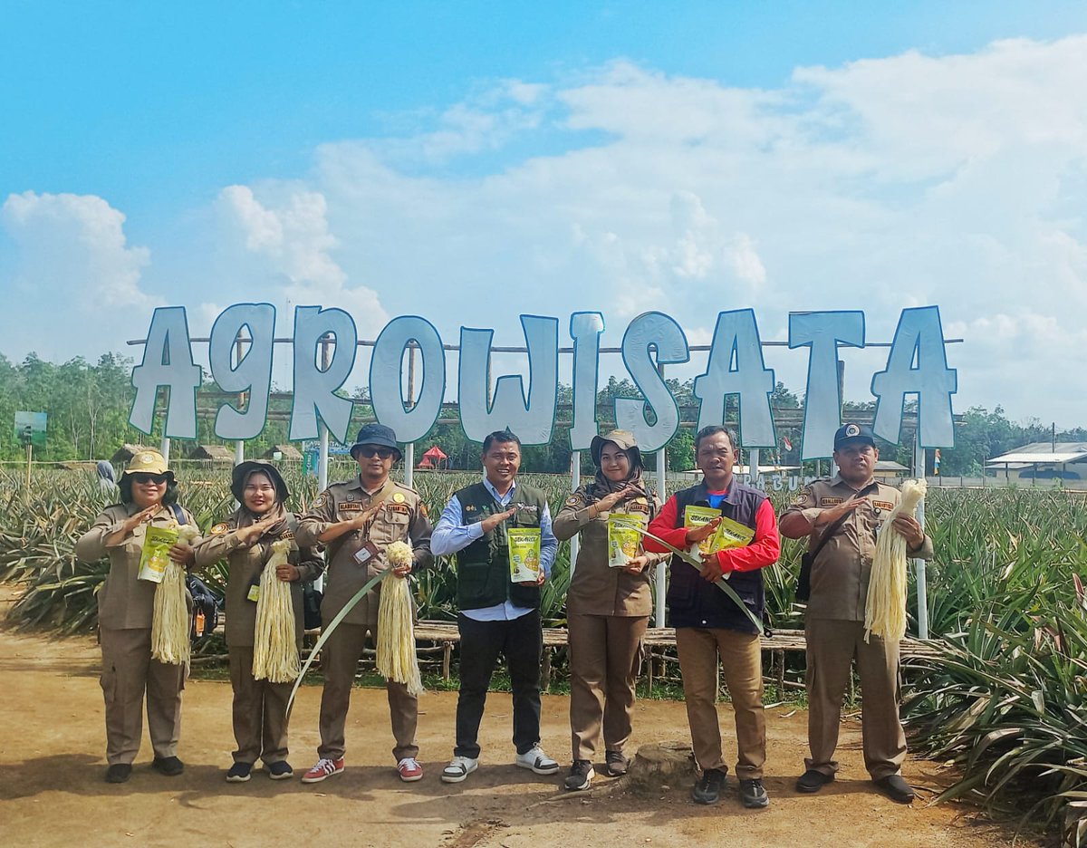 BarantinRI's tweet photo. Hadirnya Karantina Pertanian untuk memastikan selain memiliki rasa yang manis, nanas ini juga bebas dari hama penyakit sehingga aman untuk dipasarkan di Indonesia dan pasar internasional. https://t.co/3Ge0kIyzFt