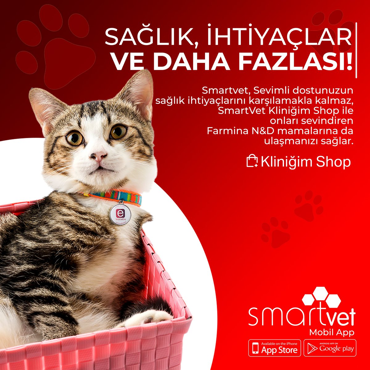 Sağlık, İhtiyaçlar ve Daha Fazlası!

Smartvet, Sevimli dostunuzun sağlık ihtiyaçlarını karşılamakla kalmaz, SmartVet Kliniğim Shop ile onları sevindiren Farmina N&amp;D mamalarına da ulaşmanızı sağlar.