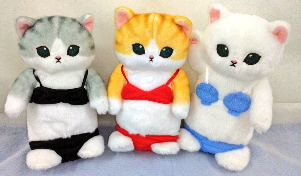 mofusand もふもふストア on X: mofusand もふもふストア on X: