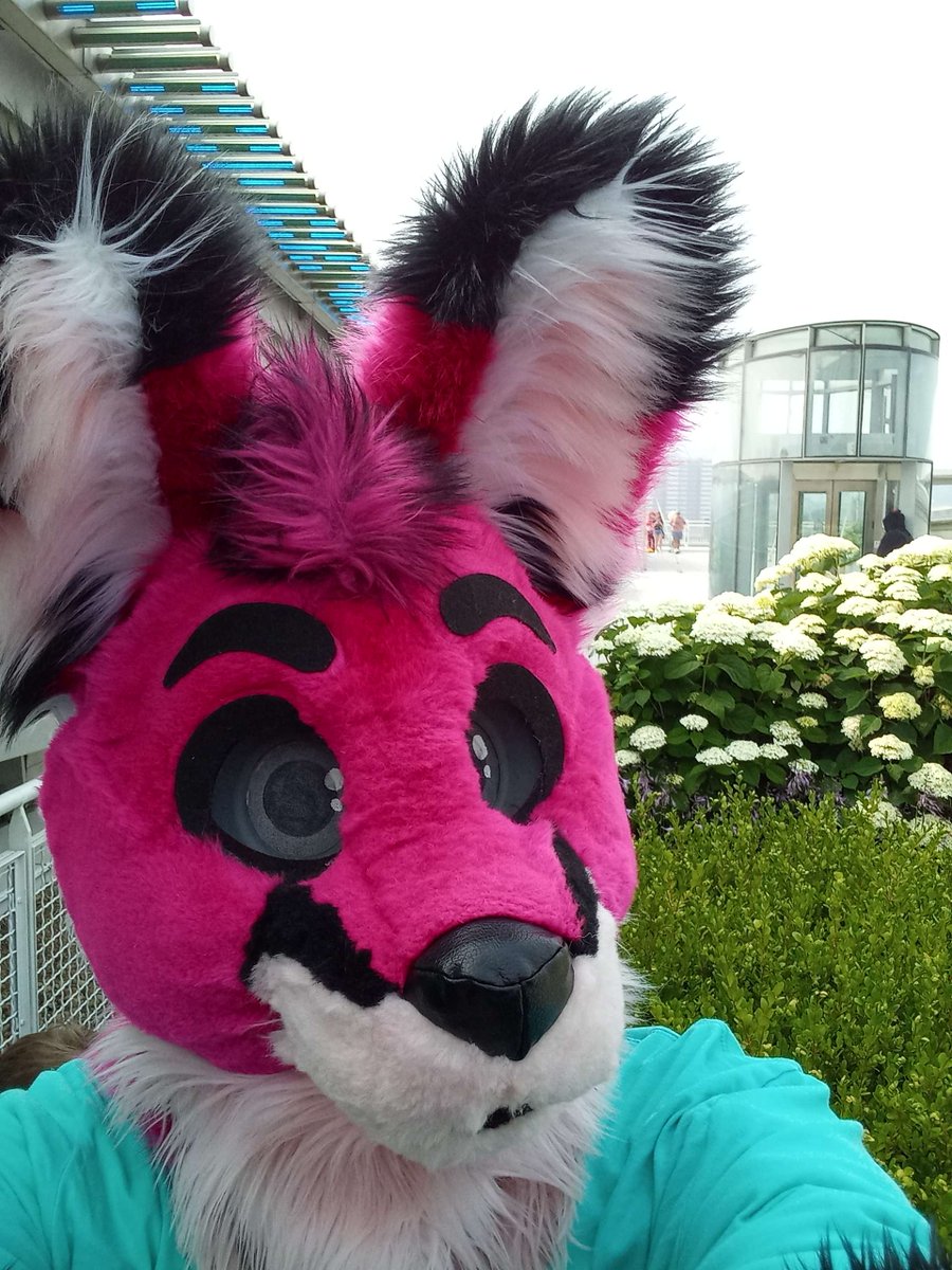 AndrewFenbit's tweet photo. little selfie on the rooftop of #anthrocon2023
#anthrocon #Fenbit https://t.co/jNNgtHdPwC