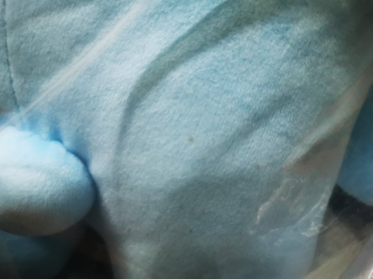 ME_MIN_MONI's tweet photo. [Pls RT] 💜 พร้อมส่ง  #BT21 #Koya หมอน ตุ๊กตา Koya 

สั่งมาช่วง pop space Thailand ซองเลยจะเก่านิดหน่อย ขอคนรับได้ น้องมีรอยตำหนิ

🌟 ราคา 700 บาท รวมส่งค่ะ (สั่งมา 1,090)

#ตลาดนัดบังทัน #ตลาดนัดBT21  #ตลาดนัดรถไฟบังทัน #ตลาดรถไฟบังทัน #ปล่อยของสะสมบังทัน #ตลาดนัดรถไฟBT21 https://t.co/4yTUH7kcnB