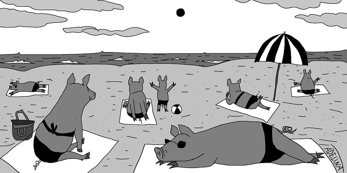 Pour dissimuler la pollution au lisier de porc sur les plages, l'Agence régionale de santé de #Bretagne a transmis pendant des années des données bidon à l'autorité européenne chargée du classement des eaux de baignade… Amis vacanciers, bienvenue !

➡️ lecanardenchaine.fr