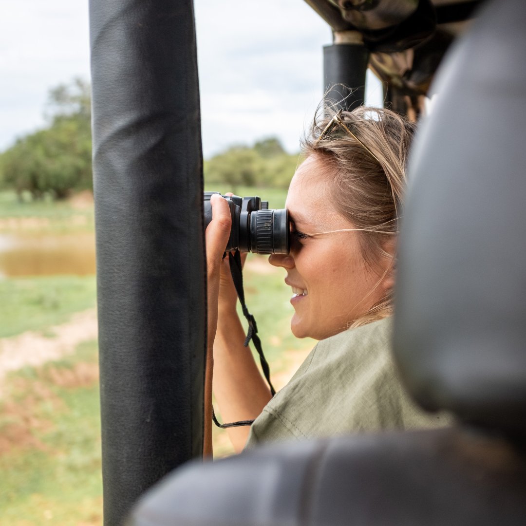 Resplendent Ceylon tweet media