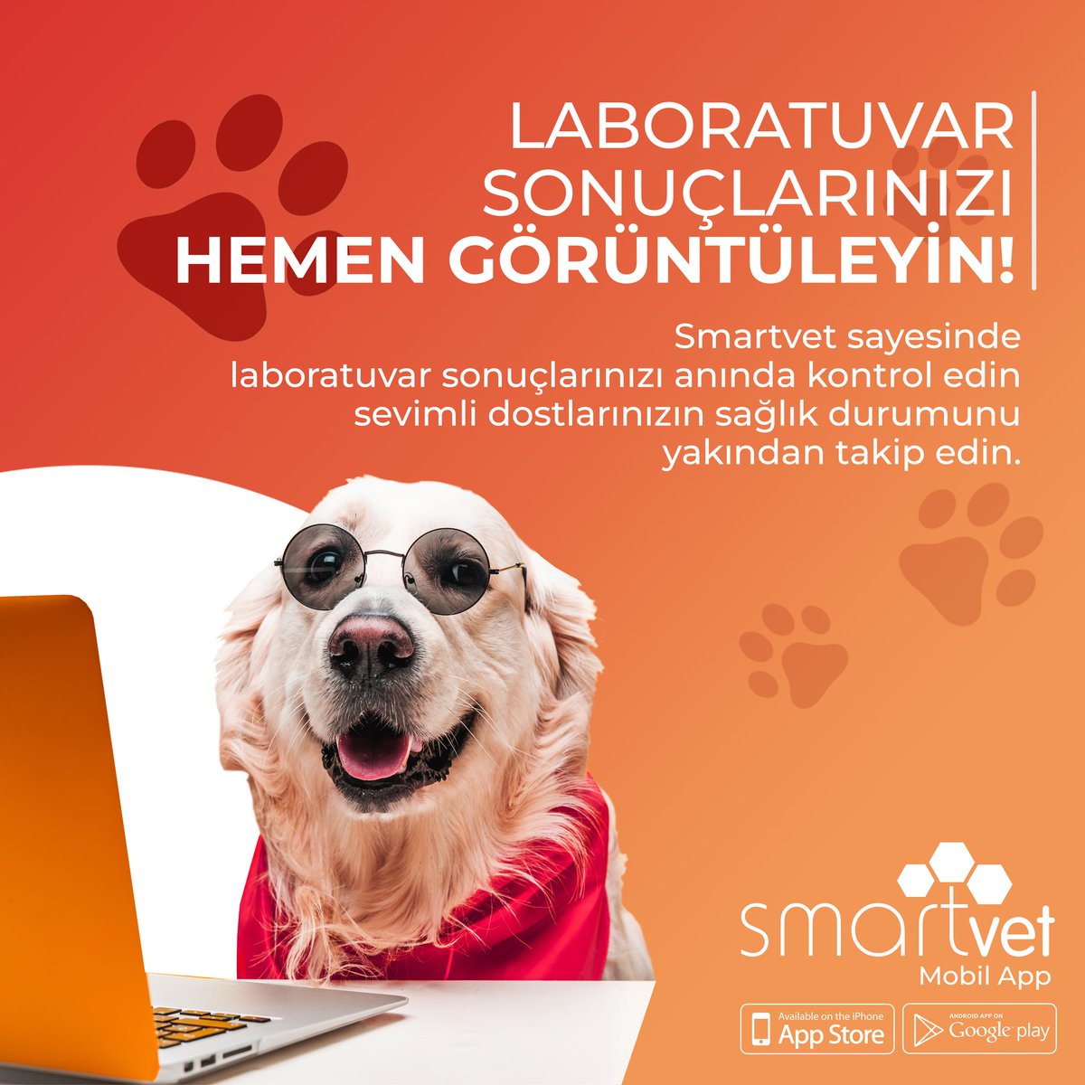 Laboratuvar Sonuçlarınızı Hemen Görüntüleyin!

Smartvet sayesinde laboratuvar sonuçlarınız anında kontrol edin, sevimli dostlarınızın sağlık durumunu yakından takip edin.