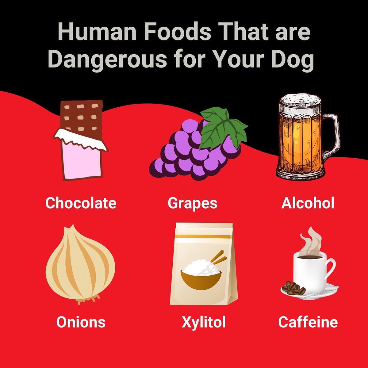 Human Foods that are toxic for your dog 🐶 ⚠️ #dogtips #dogfoods #primalpetgear #dogadvice #dogfeeding