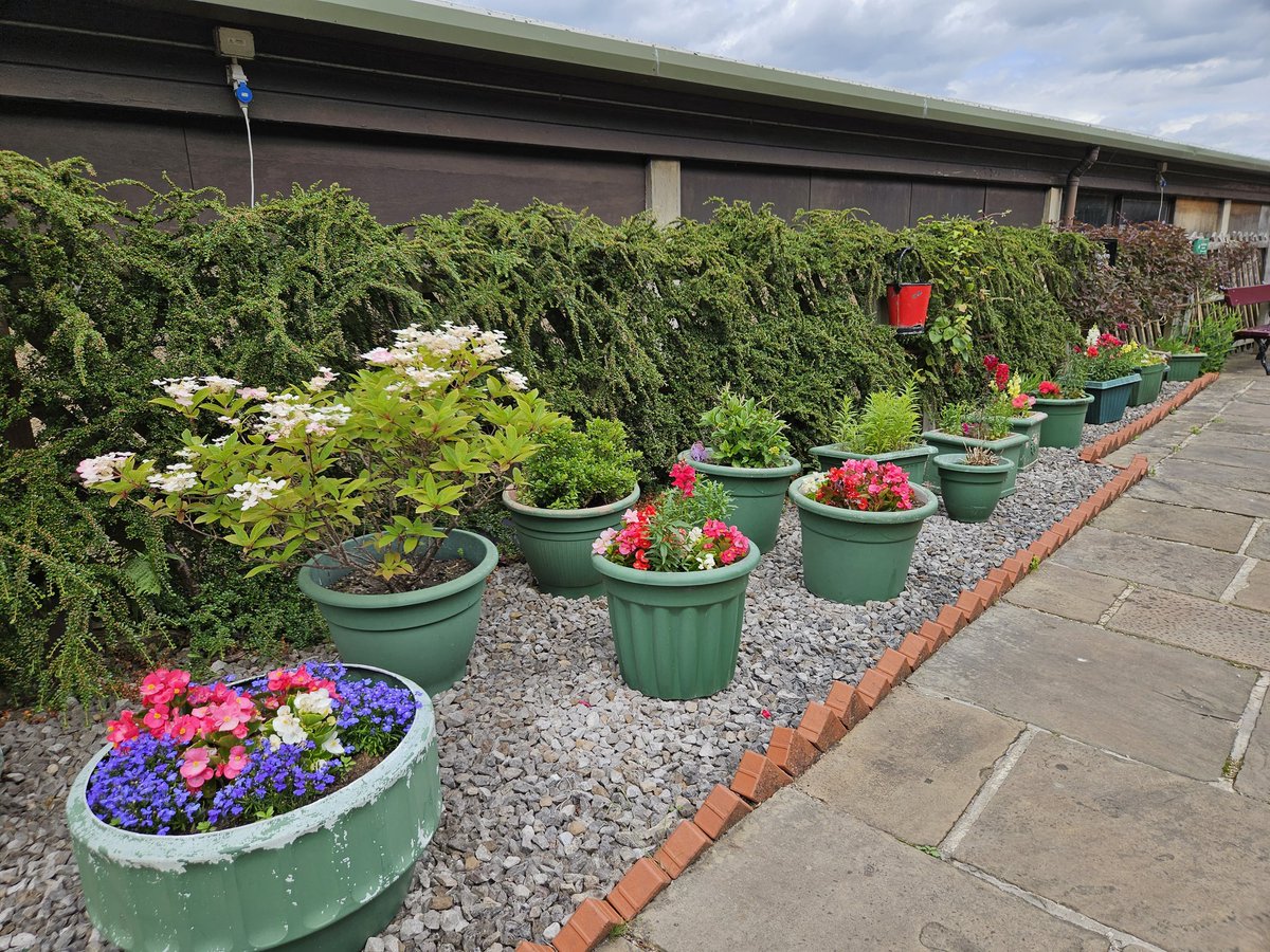 Vicky Clifton (@vicky8751) on Twitter photo If there were a Bradford Heritage in bloom competion.. .Rail Stories would be up there ๐๐ The whole area looks beautiful <a href="/vct_ingrow/">Vintage Carriages Trust</a> <a href="/WorthValley/">Keighley & Worth Valley Railway</a> ๐ผ๐ธ๐ป If there were a Bradford Heritage in bloom competion.. .Rail Stories would be up there ๐๐ The whole area looks beautiful <a href="/vct_ingrow/">Vintage Carriages Trust</a> <a href="/WorthValley/">Keighley & Worth Valley Railway</a> ๐ผ๐ธ๐ป