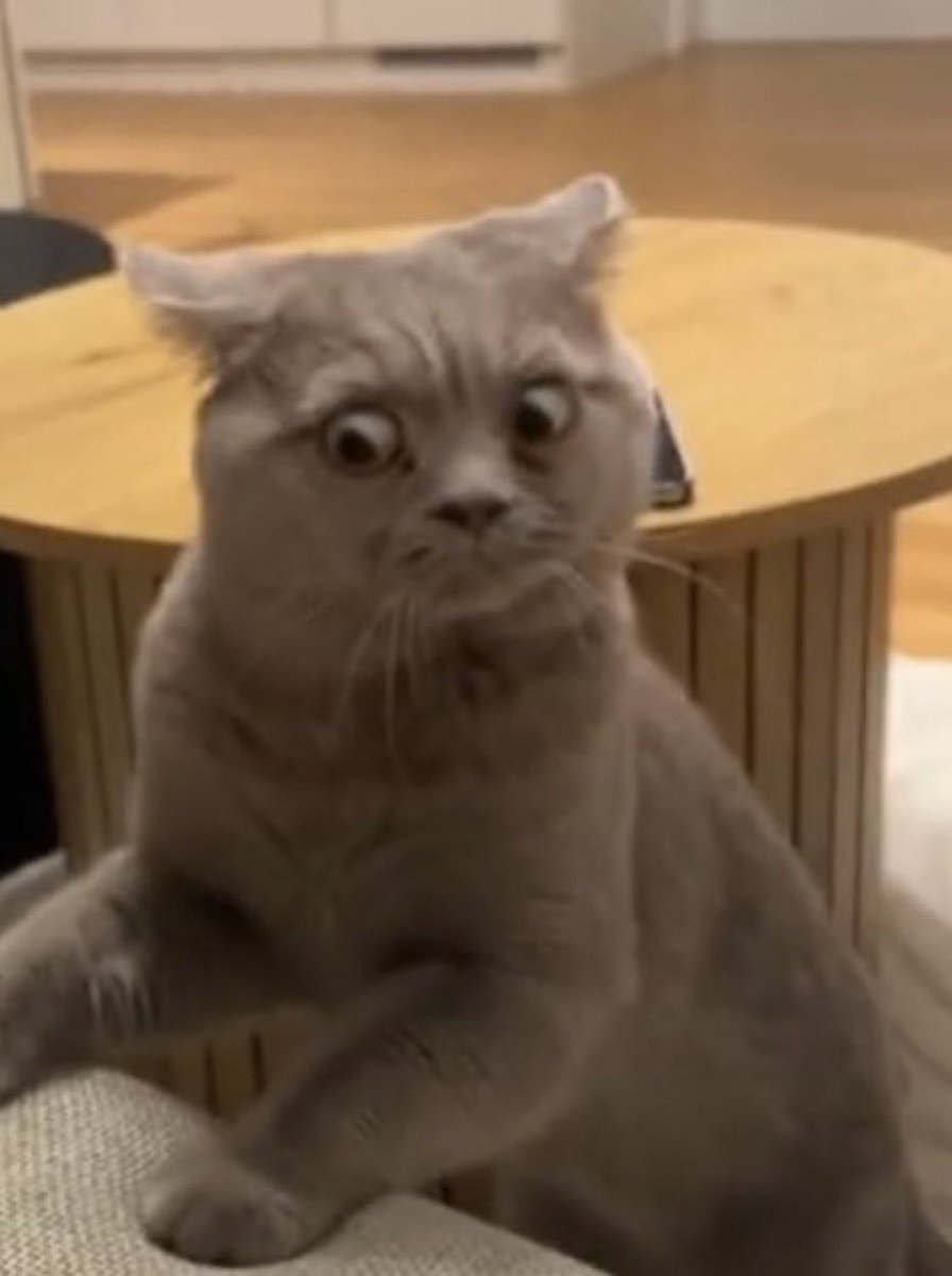 praise to baby Yeezus I’m not catholic