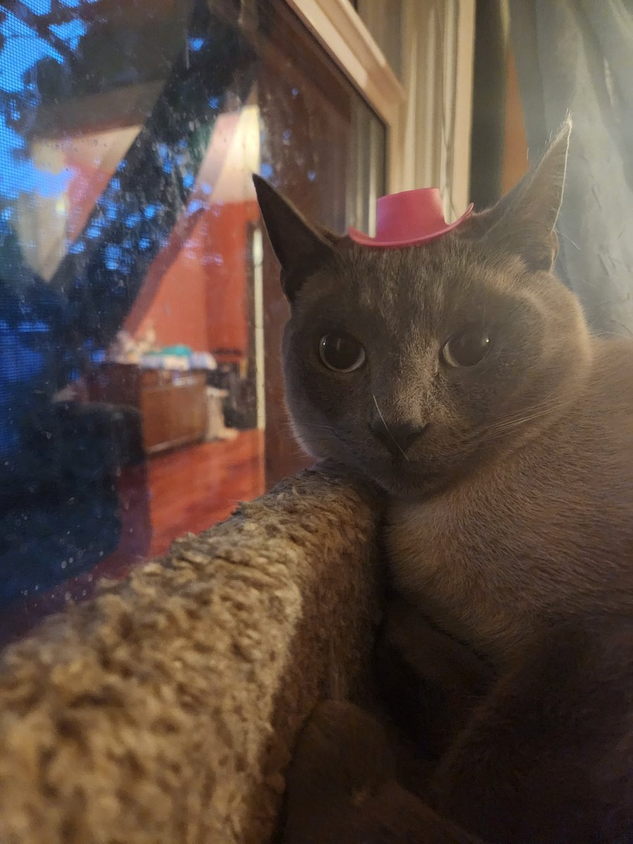 I'm a cooowwwbooyy bayyybee