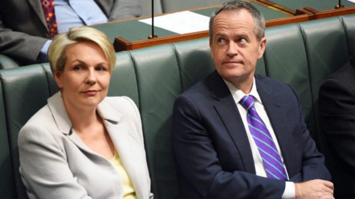 deargipsy's tweet image. So, are Plibersek and Shorten going to jail? #RobotdebtRC