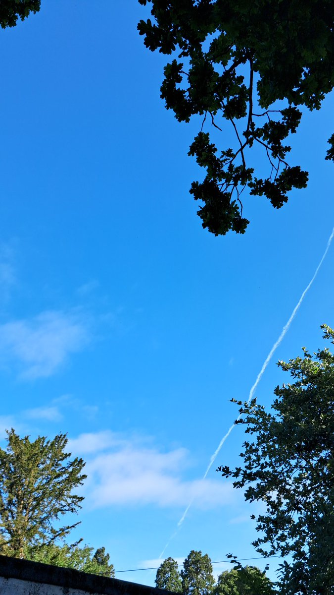 Hollinhey tweet media