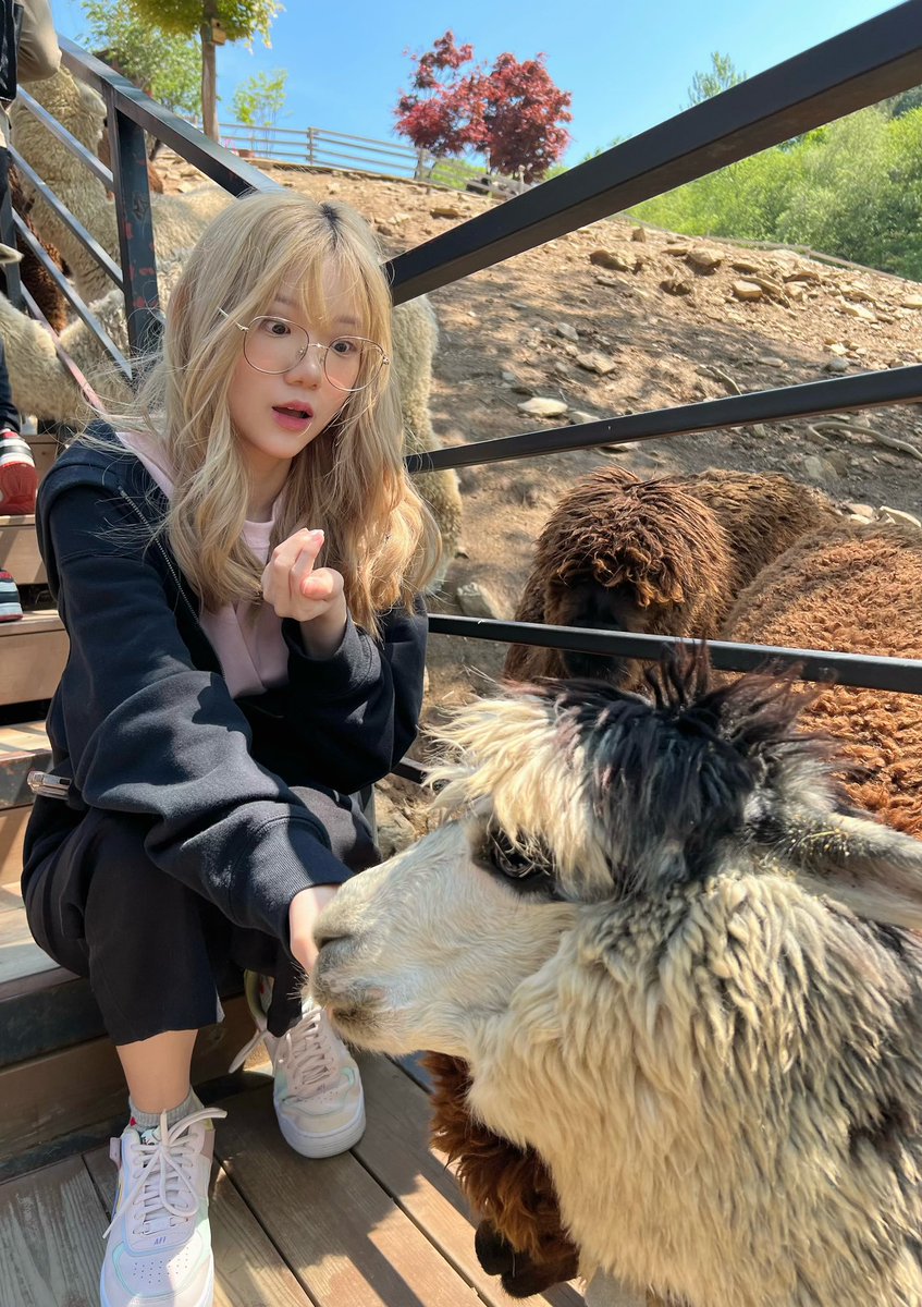 spicyuuu🌶️ tweet media