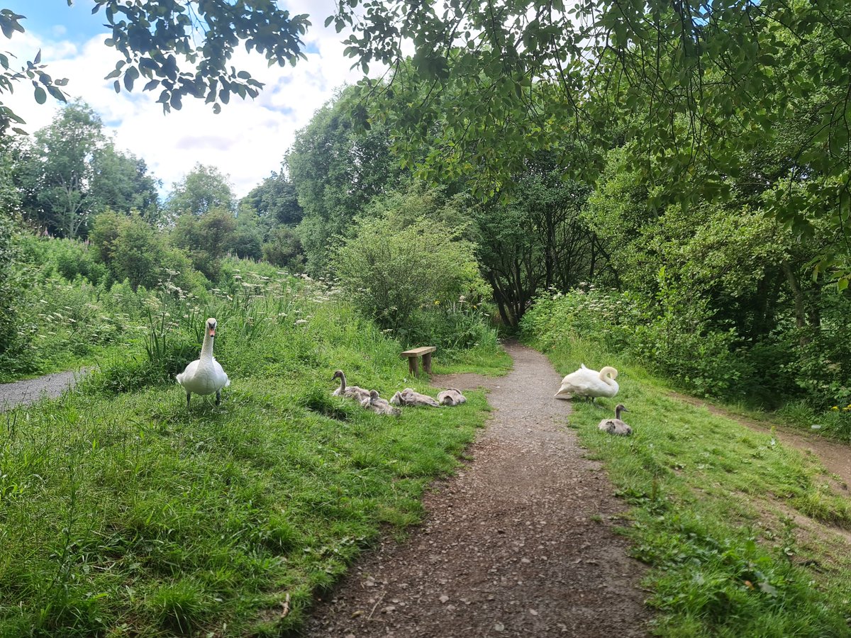 Kitkat Wright tweet media