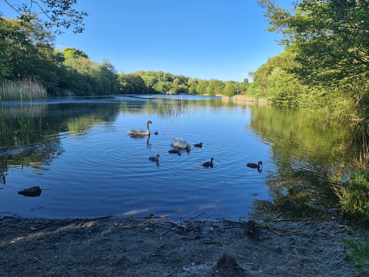 Kitkat Wright tweet media