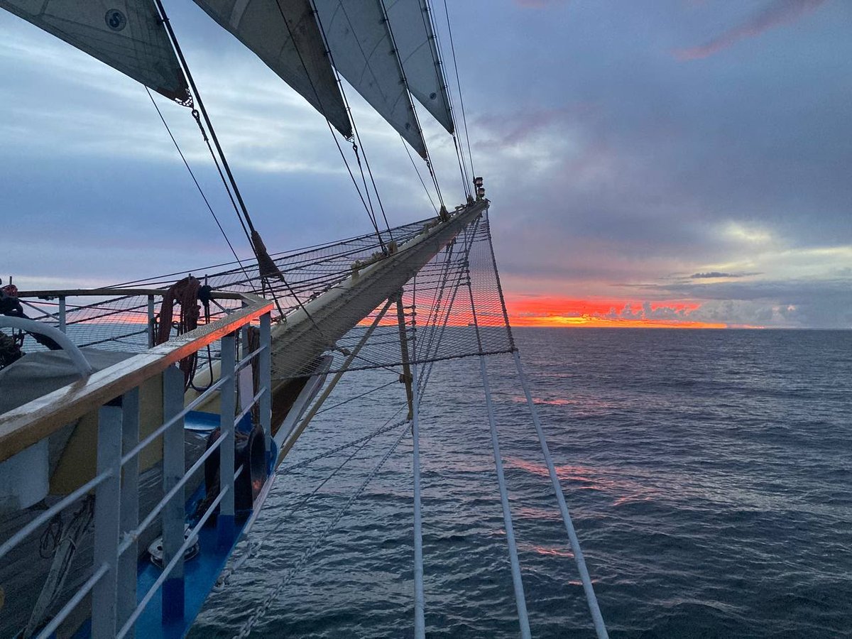 captsingh's tweet image. May the winds of fortune guide thy vessel, steering thee towards a day of splendid splendor! #FairWinds #GreatDay 
@korte_rita