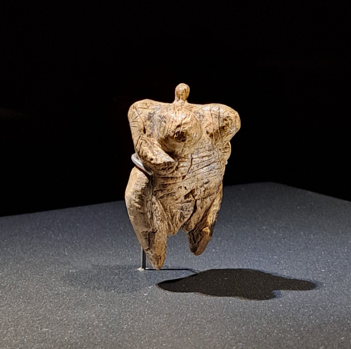 DrNWillburger's tweet photo. For #FindsFriday an amazing object from yesterday's visit to Urgeschichtliches Museum Blaubeuren - an #IceAge masterpiece! The so-called Venus of Hohle Fels (a cave on the Swabian Jura) was carved in mammoth ivory some 40,000 years ago. The 6cm long figurine is the world’s...1/2 https://t.co/bKwRG3dumm