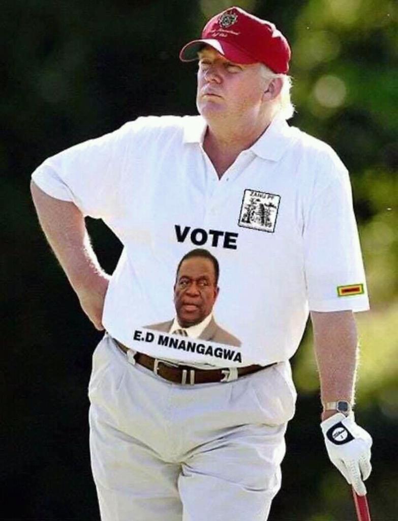 Charlene Shumba tweet media