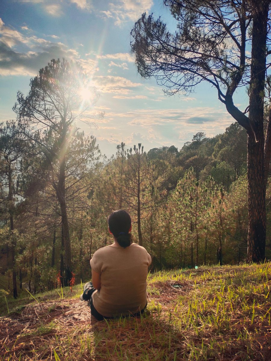 priyapth380's tweet image. &quot;The closer you get to nature, the farther you get from stress.&quot; 🌿🌻🍁
#phdlife #phdvoice #phdthoughts #phdescape #holidayvibes #blessed #grateful #intothewild #inthelapofnature #healing #natureslover #explorer #himalayas #beautifulview #sun #clouds  #bluesky