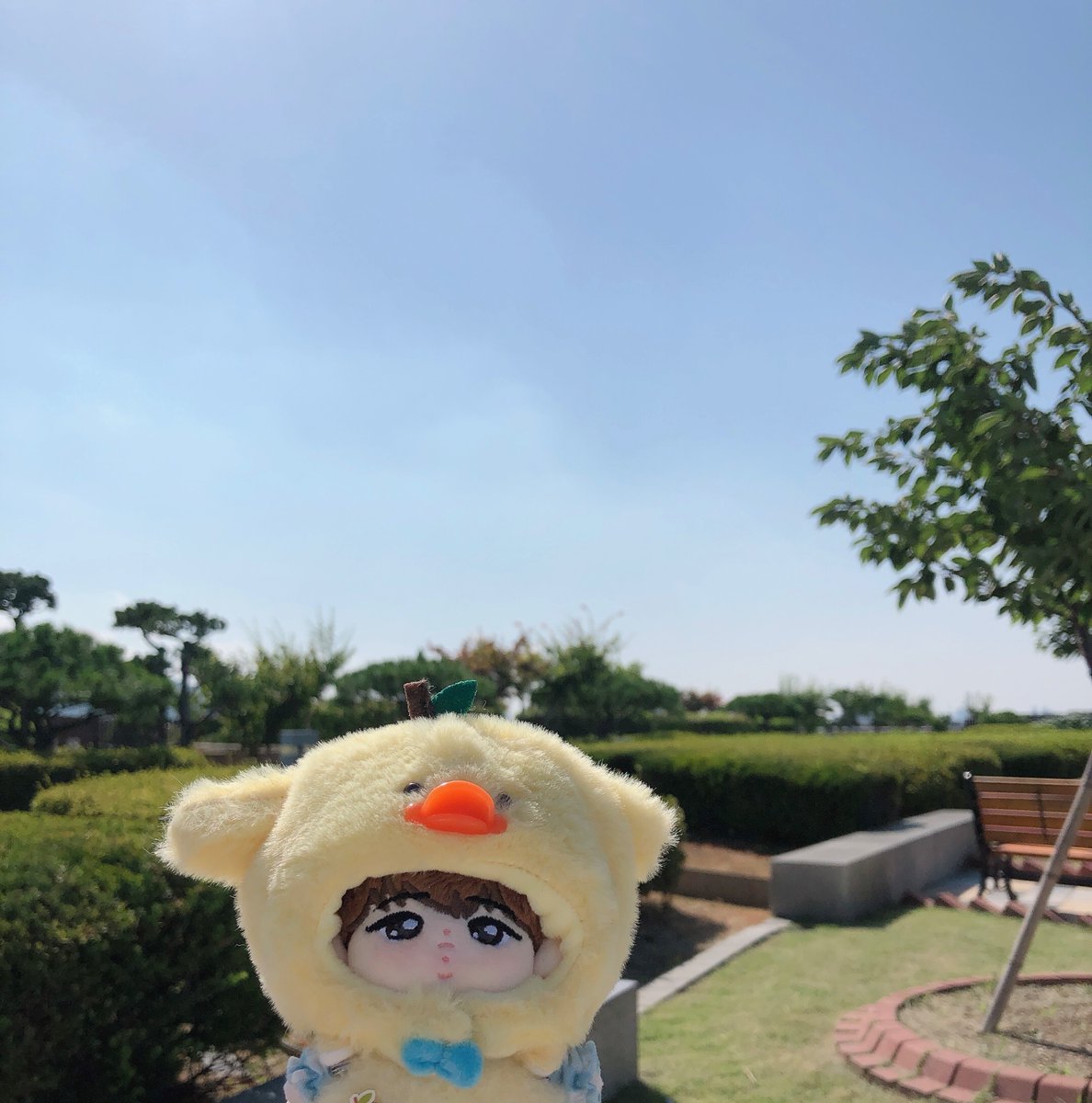 pjcwink's tweet photo. 꽉 
오리 째째찬 🐥 https://t.co/NpFer93K2A