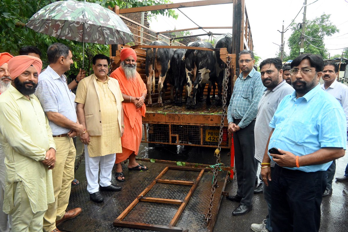 mcldhofficial's tweet photo. MLA Bagga flags off vehicles for lifting stray cattle after MC signs agreement with gaushala to lift 500 stray cattle from city roads.
.
.
.
#mlabagga #straycattle #municipalcorporation #gaushala #animalwelfare #ludhiananorth #publicservice #mcl #mcludhiana https://t.co/x4j0fLSeWM