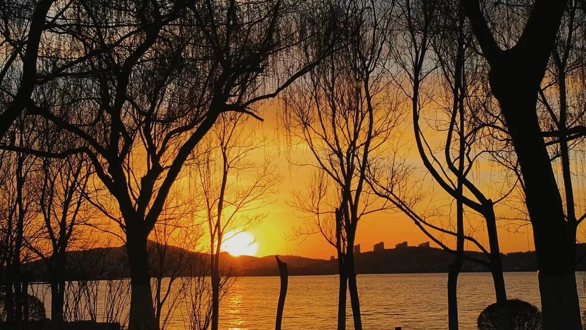 人生は一つではありません、色とりどりで、散りゆくのは花で、春ではありません。