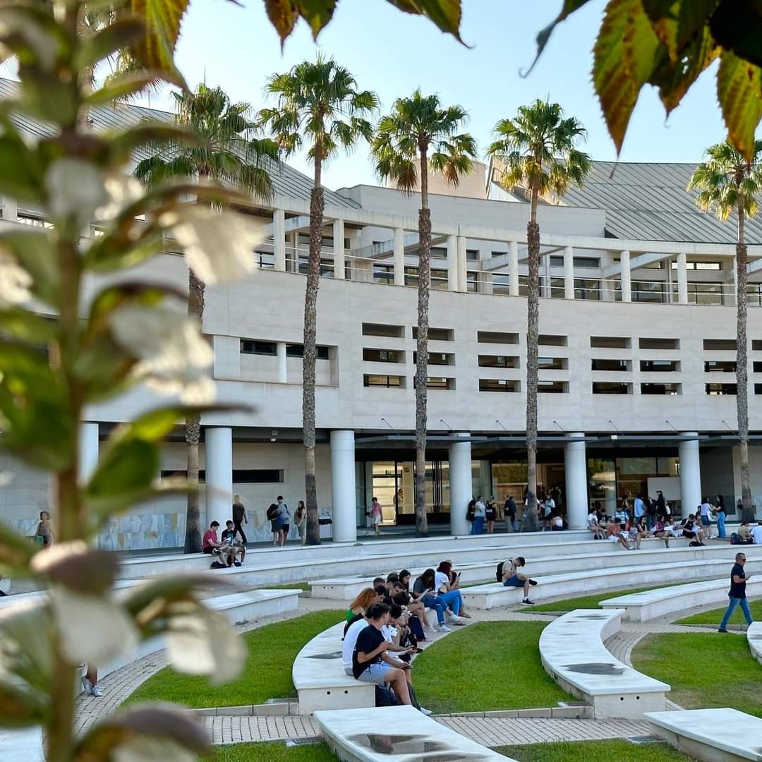 mvdsinstitute's tweet image. Our staff member, Irena Gjerasimovska, is currently participating in an Erasmus training week at @UA_University in Spain 🇪🇸. During this immersive experience, Irena will have the incredible opportunity to observe and learn about the project administration practices. #TrainingWeek