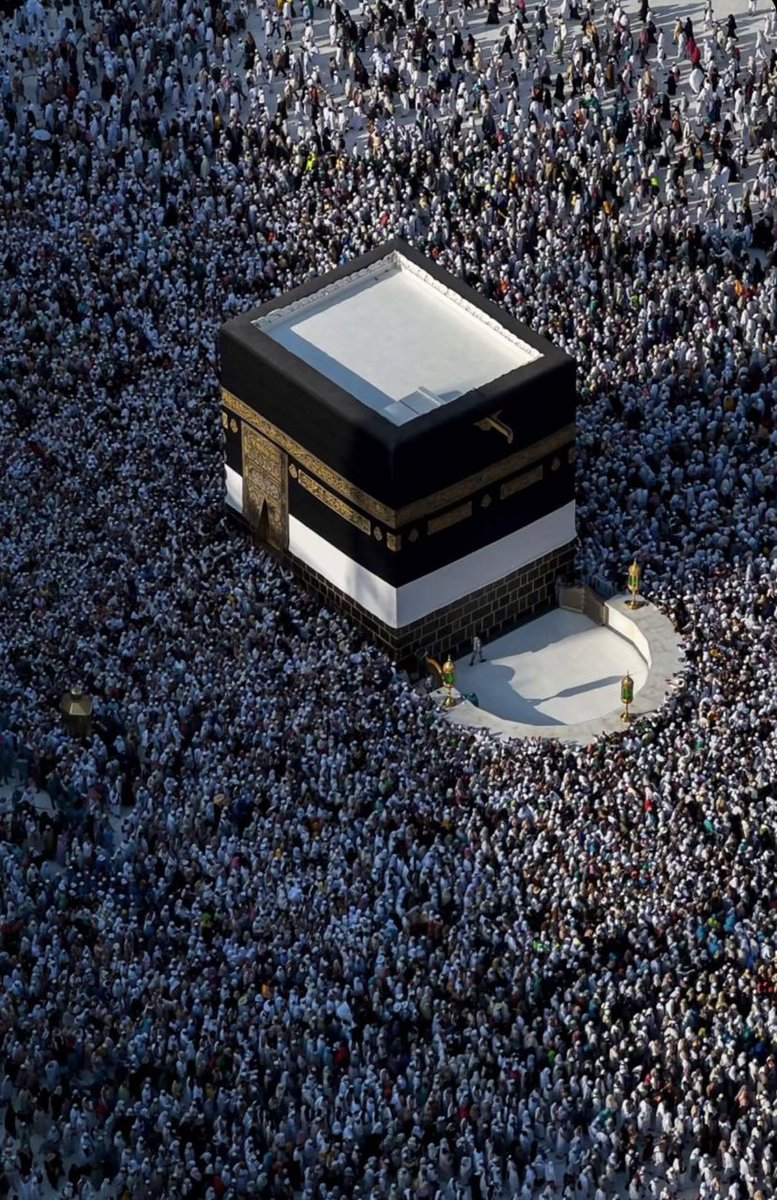 The Holy Mosques (@theholymosques) on Twitter photo 