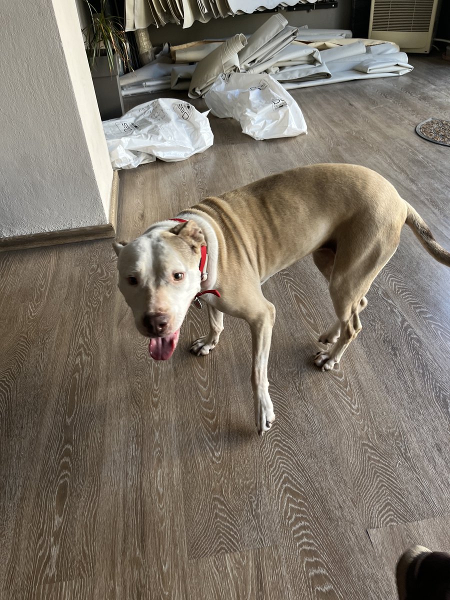 𝐓𝐡𝐞 𝐖𝐨𝐦𝐚𝐧 🦋 tweet media