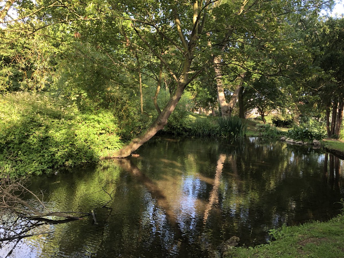 Southchurch Hall Gardens looking glorious on my evening walk.

#southchurchhallgardens #southchurch #southend #essex #eveningwalk <a href="/FriendsSouthend/">Friends of Southend</a>