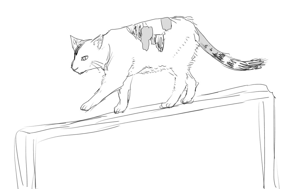薄型テレビわたる猫の画像見て描いた https://t.co/oGhMubrXKN