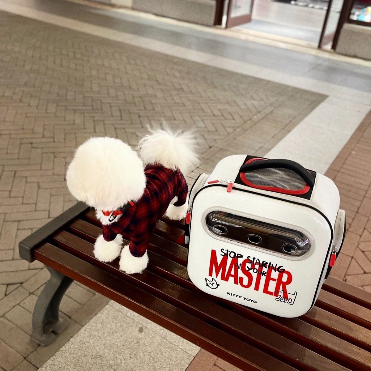 PETSPETSCS's tweet photo. Intelligent
💗
The company of plush puppies makes solitude fearless. 💖

· Spacious Portable Cat Backpack Carrier ·
🐶 SHOP NOW 🐱 LINK IN MY BIO ⬆ Shiping ✈🚢🌍

#petspets #travelbackpack #pet #dog #puppy #travel #trip #bag #landscape https://t.co/ZxmP3icCtE