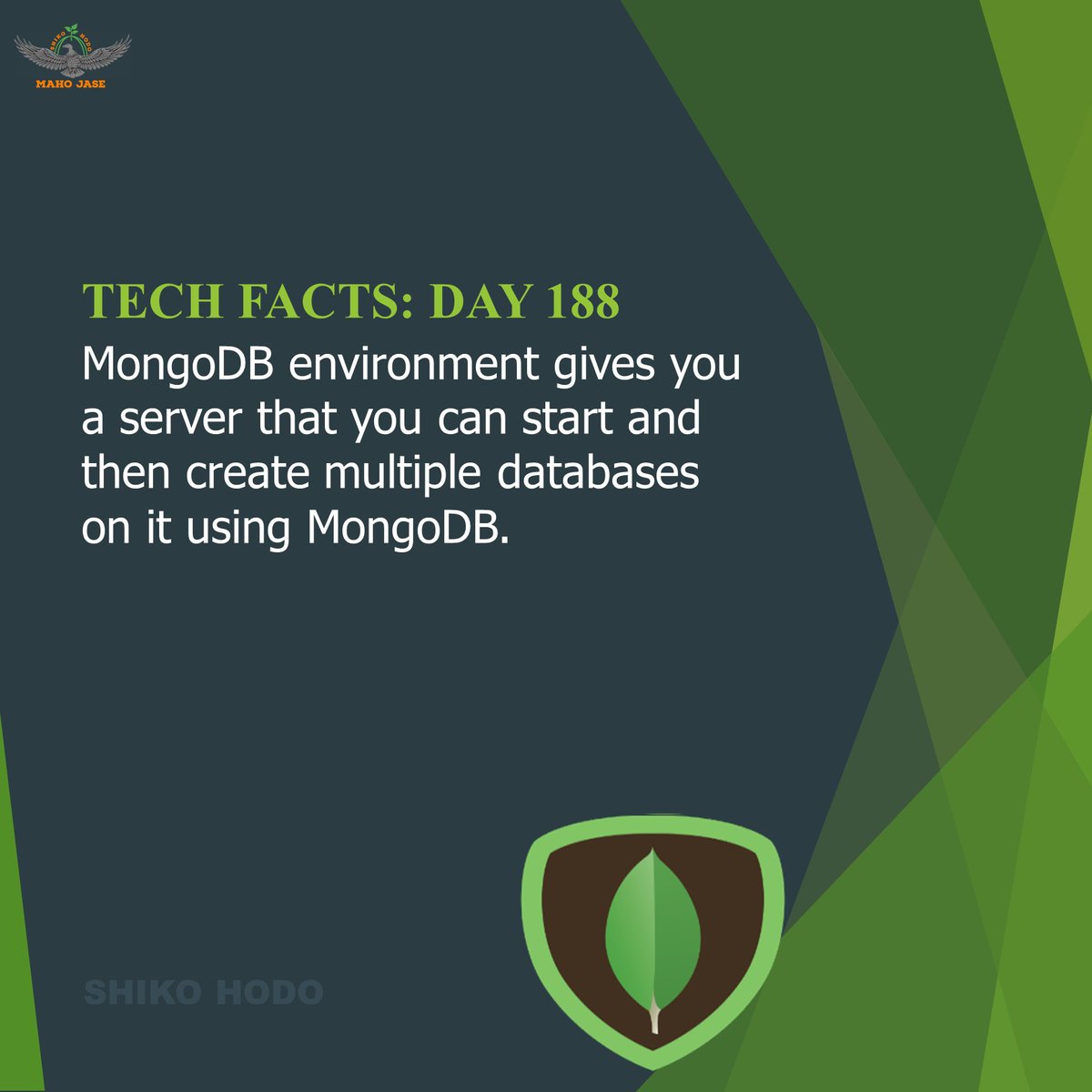 mahojase's tweet photo. Tech Facts: Day 188
#mongodb #programming #webdeveloper #webdevelopment #software #jquery #android #laravel #webdesigner #rubyonrails #machinelearning #webdesign #coding #sql #artificialintelligence #mongodbdevelopment #mongodbtraining #mongodbdatabase #dailytechfacts #Mjit https://t.co/IS14kkH8ft