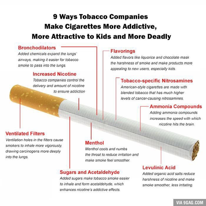 Dear young people...
Your health matters: Smoking damages your lungs, weakens your immune system, and increases the risk of heart disease, cancer, and respiratory problems. By staying away from tobacco, you're giving yourself the gift of a healthier future!
<a href="/YPCDN_Tz/">YP-CDN Tanzania</a> <a href="/tancda/">Tanzania NCD Alliance</a>