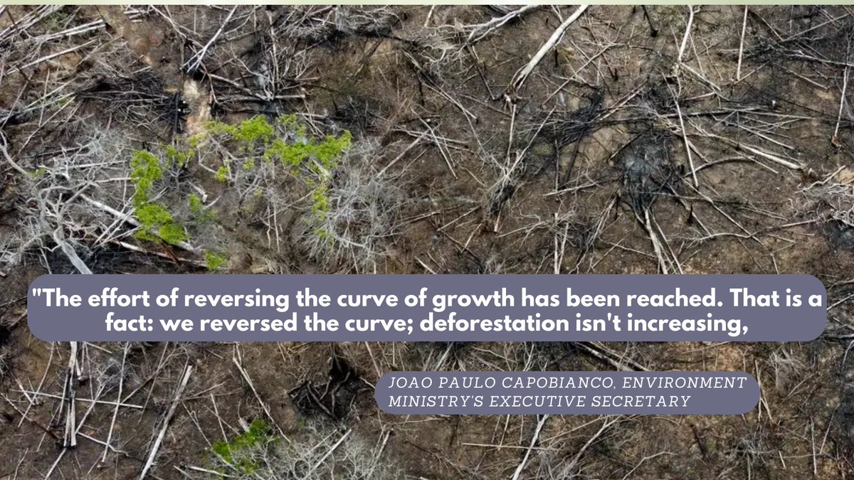 Geoseu_'s tweet photo. The Brazilian government revealed that deforestation in the Amazon forest decreased by one-third during the first six months of President Luiz Inacio Lula da Silva's administration, compared to the same period last year.
https://t.co/1Uclm6SiPR https://t.co/oTIjuEg184