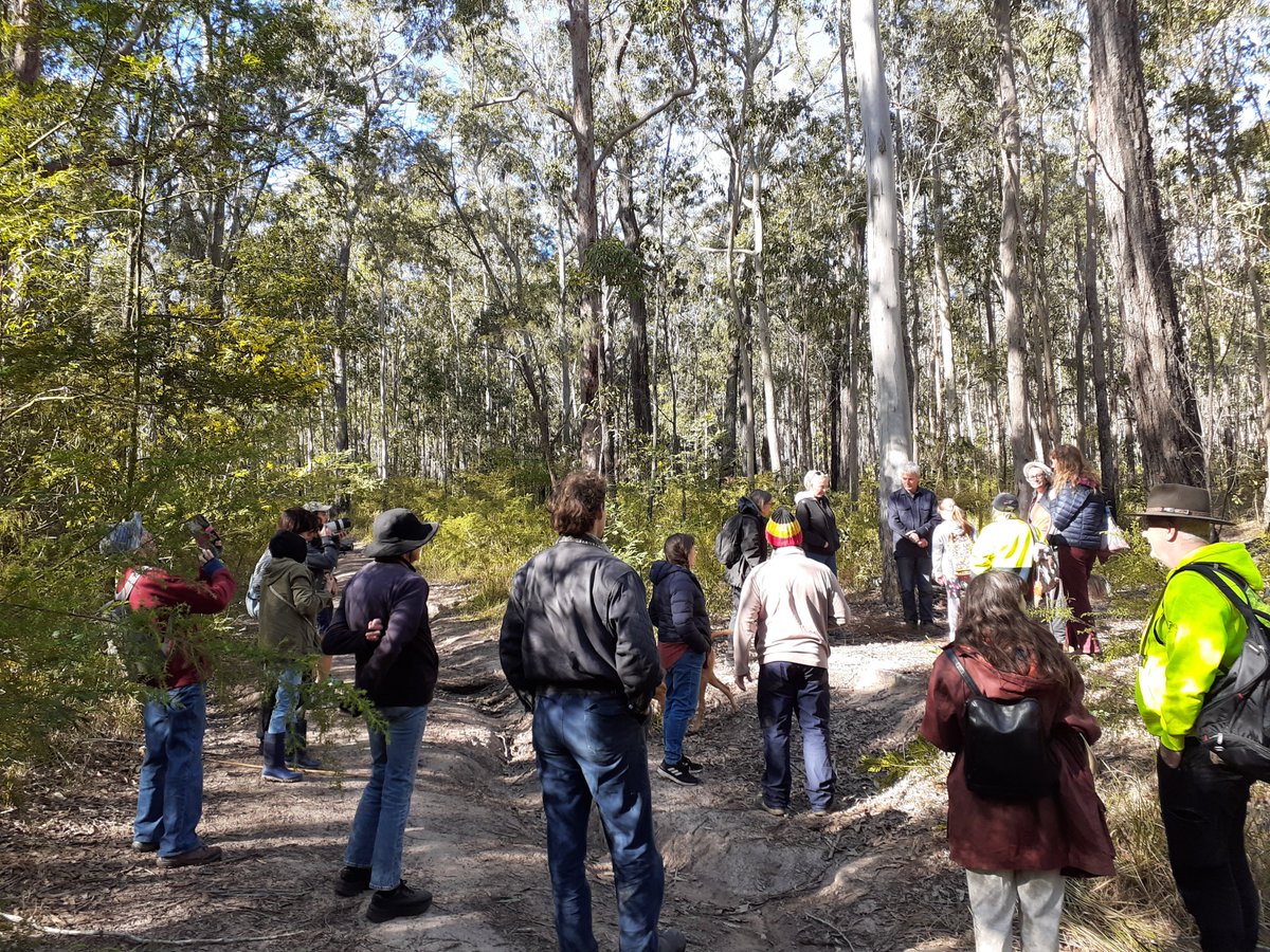 Midcoast_KNAG's tweet photo. Please join us to say NO to Stone Ridge Quarry proposal in Wallaroo State Forest.

#SaveWallaroo
#Fridays4Forests 

We have 2 wks left to object to this.
Submission &amp; info on following site👇

https://t.co/128k6mNx1U https://t.co/s8YeAuDhLU