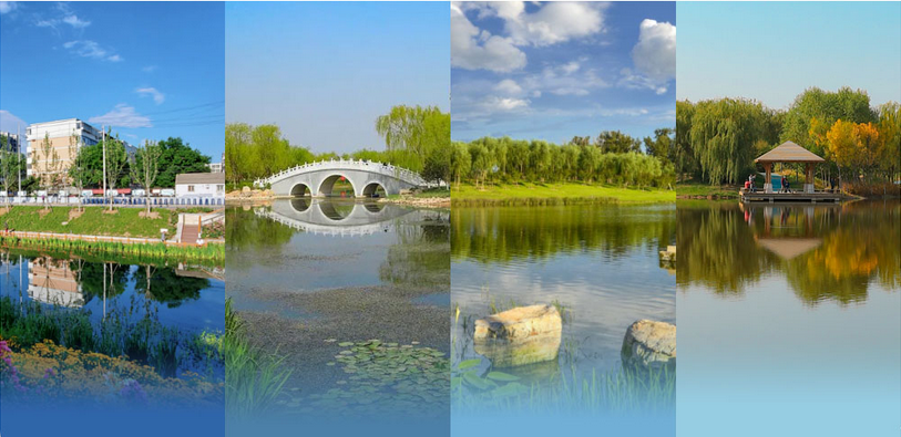 DiscoverDaxing's tweet photo. Did you know that #Daxing district of #Beijing is actively creating a forest city ⁉️

Currently, the forest coverage in the district has increased to 35.37%. Rare bird species such as the Oriental Skylark, Yellow-breasted Bunting and White-tailed Sea Eagle have flocked here. 🌳🦅 https://t.co/Sb9yqNojpv