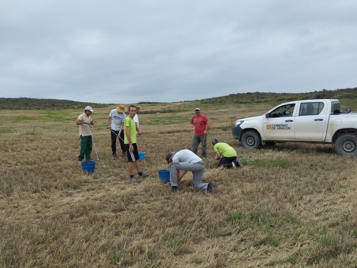 CITA Aragón tweet media