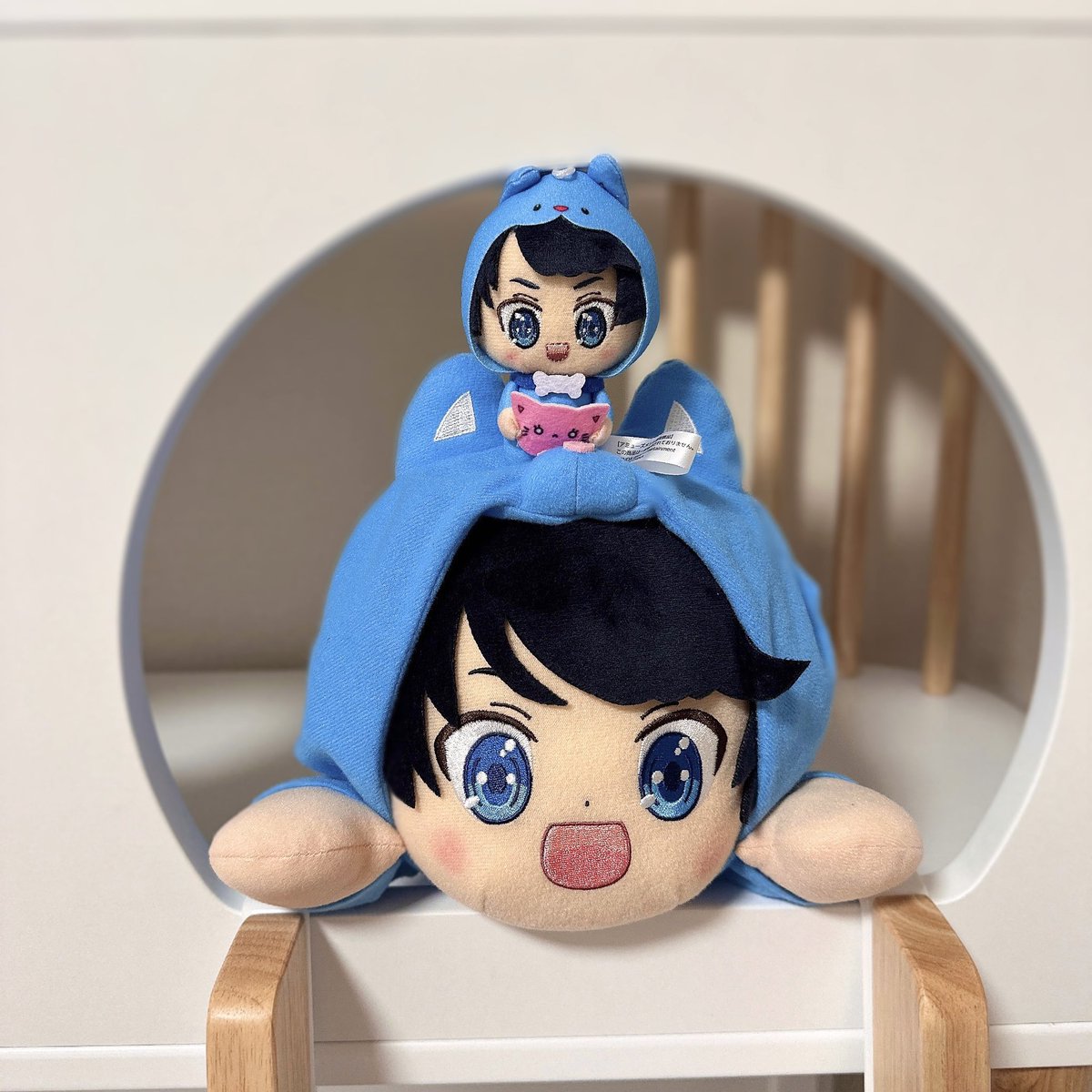 ちろるぬいぐるみたち‼︎‼︎🐶🧸 ちろるがキャットタワーで遊んでる