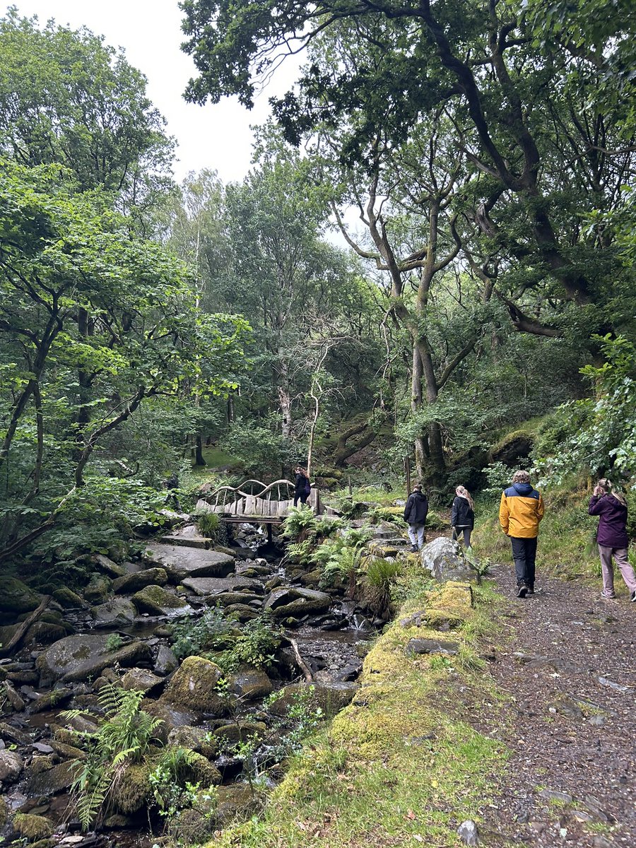 SPHSGeog's tweet photo. Before we embark on our homeward journey, a few snaps from last evening’s walk through the Padarn Park in Llanberis.  Bit of biology, bit of industrial history LOTS of rain 🌧️ @StPetersRCHigh https://t.co/ASYpkPPWrX