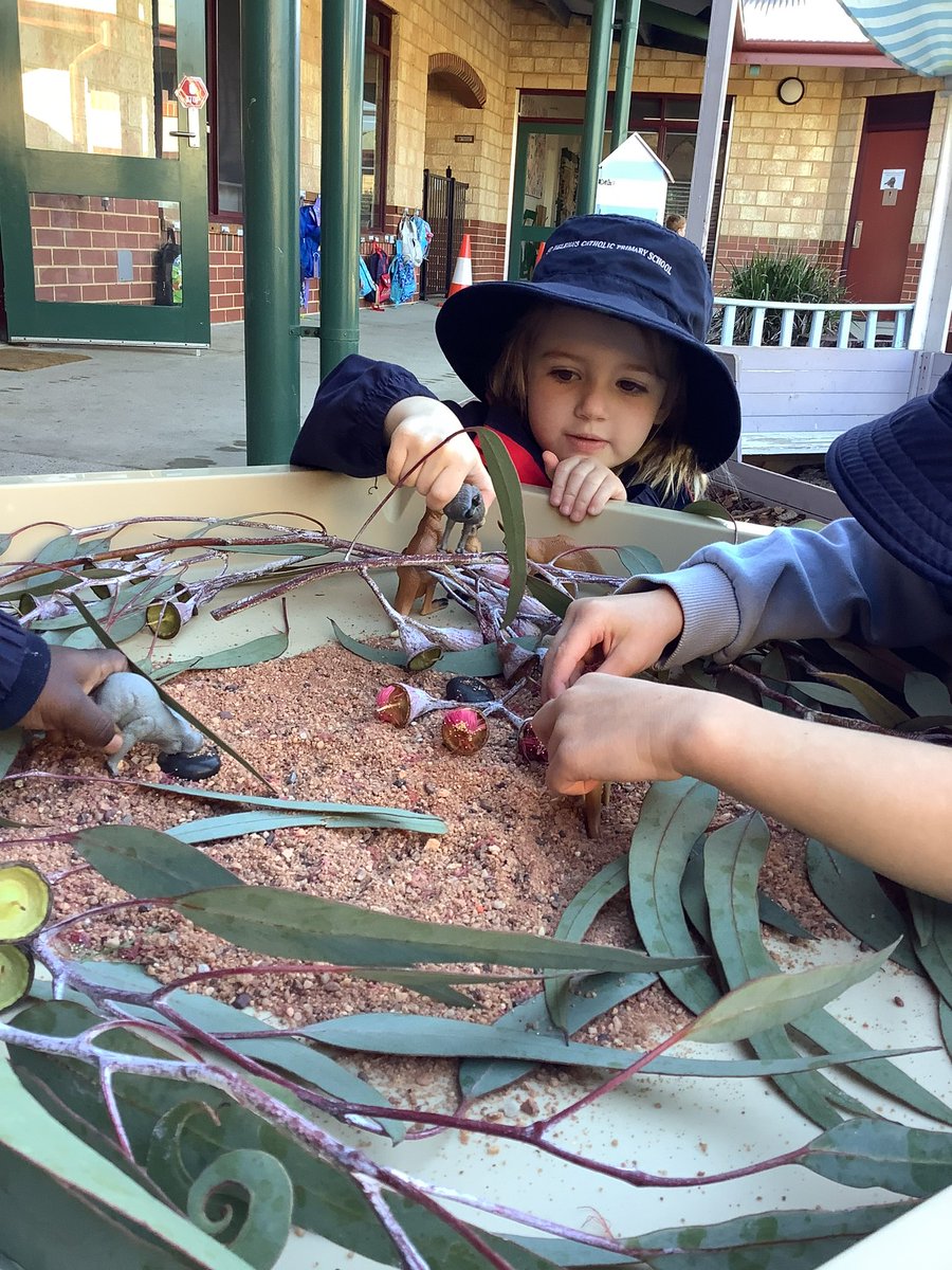 St Helena's CPS tweet media