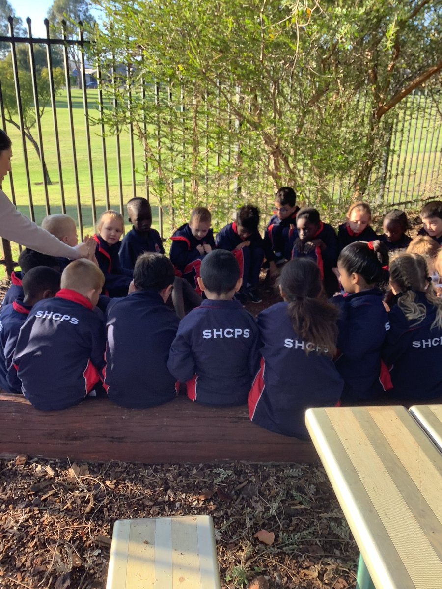 St Helena's CPS tweet media