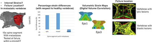 MultiSim tweet media