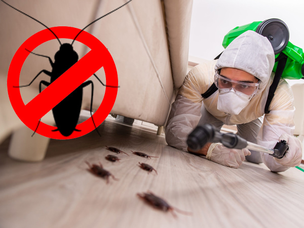 atlcpestcontrol's tweet image. Say goodbye to pests in Western Massachusetts!

At Atlantic Exterminating, we offer exceptional #Pest_Control services in Western Massachusetts. Whether it&apos;s ants, termites, or spiders, our team has the expertise to eliminate them swiftly and efficiently.

Call us now!