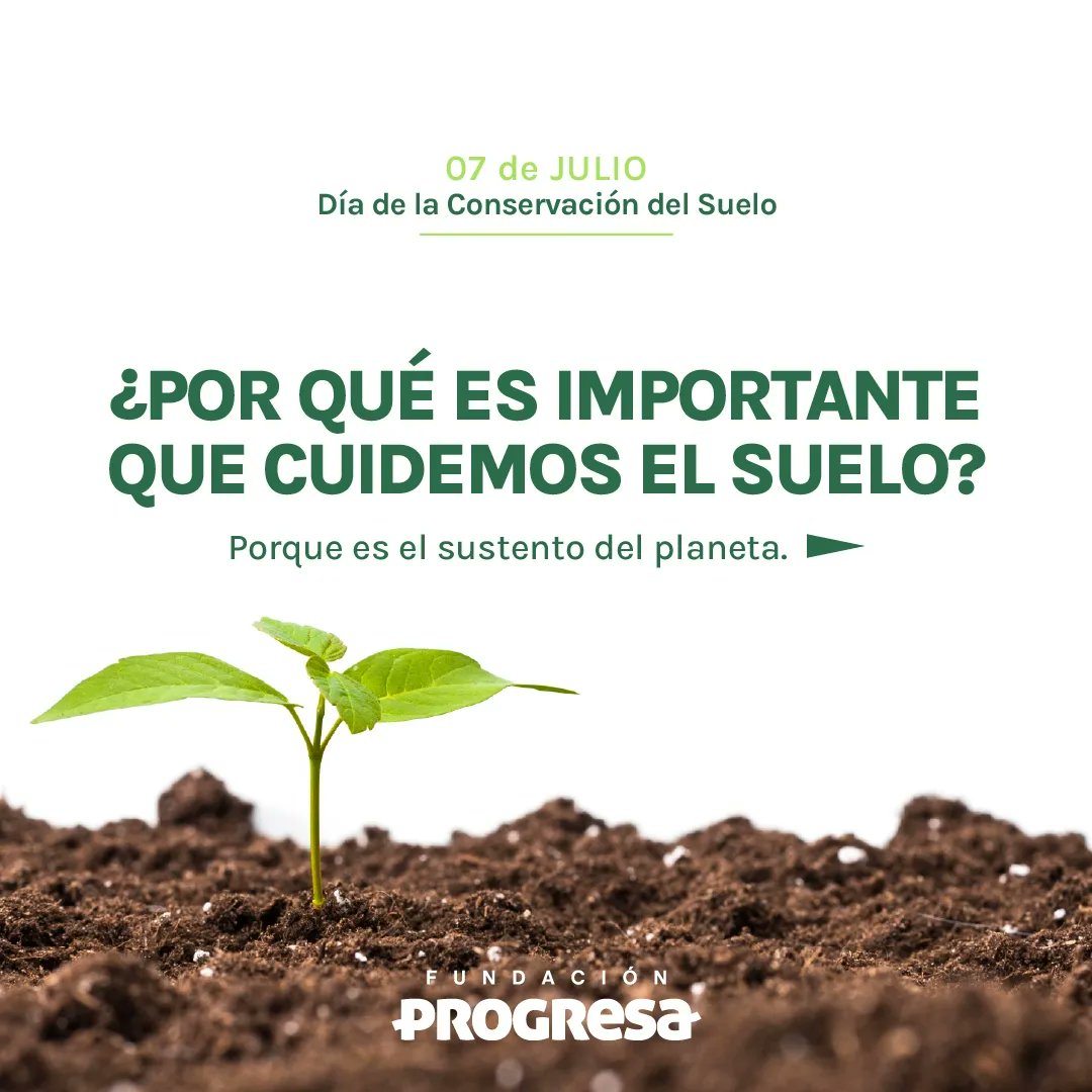 F_Progresa's tweet photo. En el Día de la conservación del suelo, te contamos por qué es importante cuidarlo 🌱 https://t.co/UYYtdpkuZY