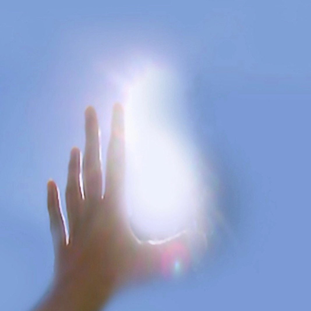 🇫🇲 tweet media