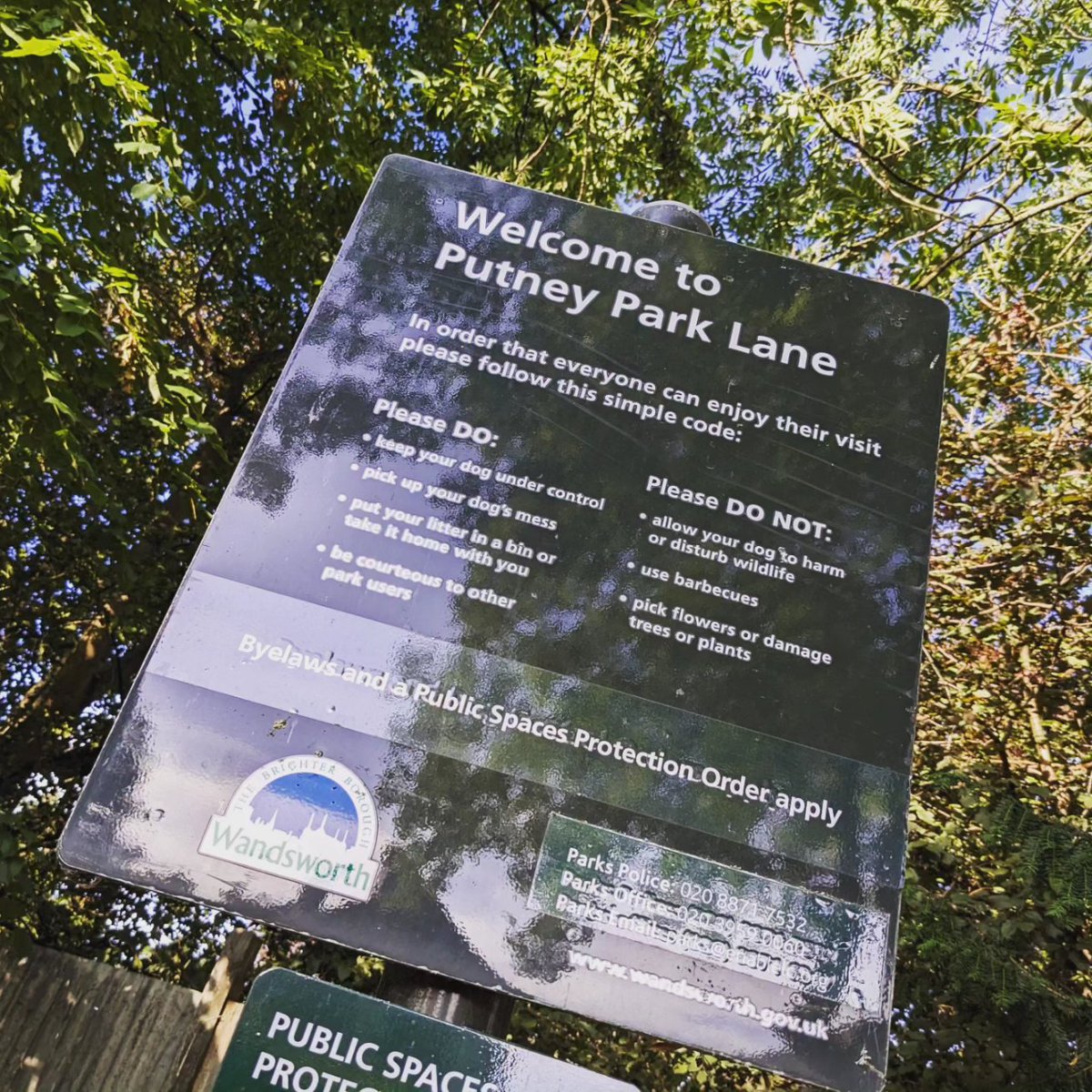 urbanparksgirl's tweet photo. #PutneyParkLane is one of my fave linear #urbangreenspaces. On the remnant of a medieval lane, it is a green corridor for people & wildlife b/t #PutneyHeath & #BarnesCommon, two large green spaces. Along the lane is the Pleasance, a small, habitat-rich #park. @wandbc @EnableParks https://t.co/4JbpuzMcxV