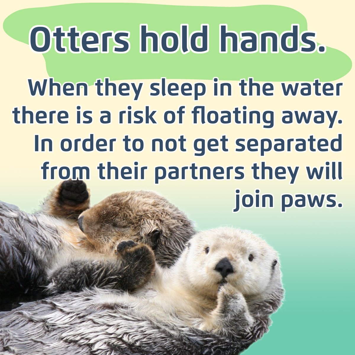 Lookout Lunch Box tweet media